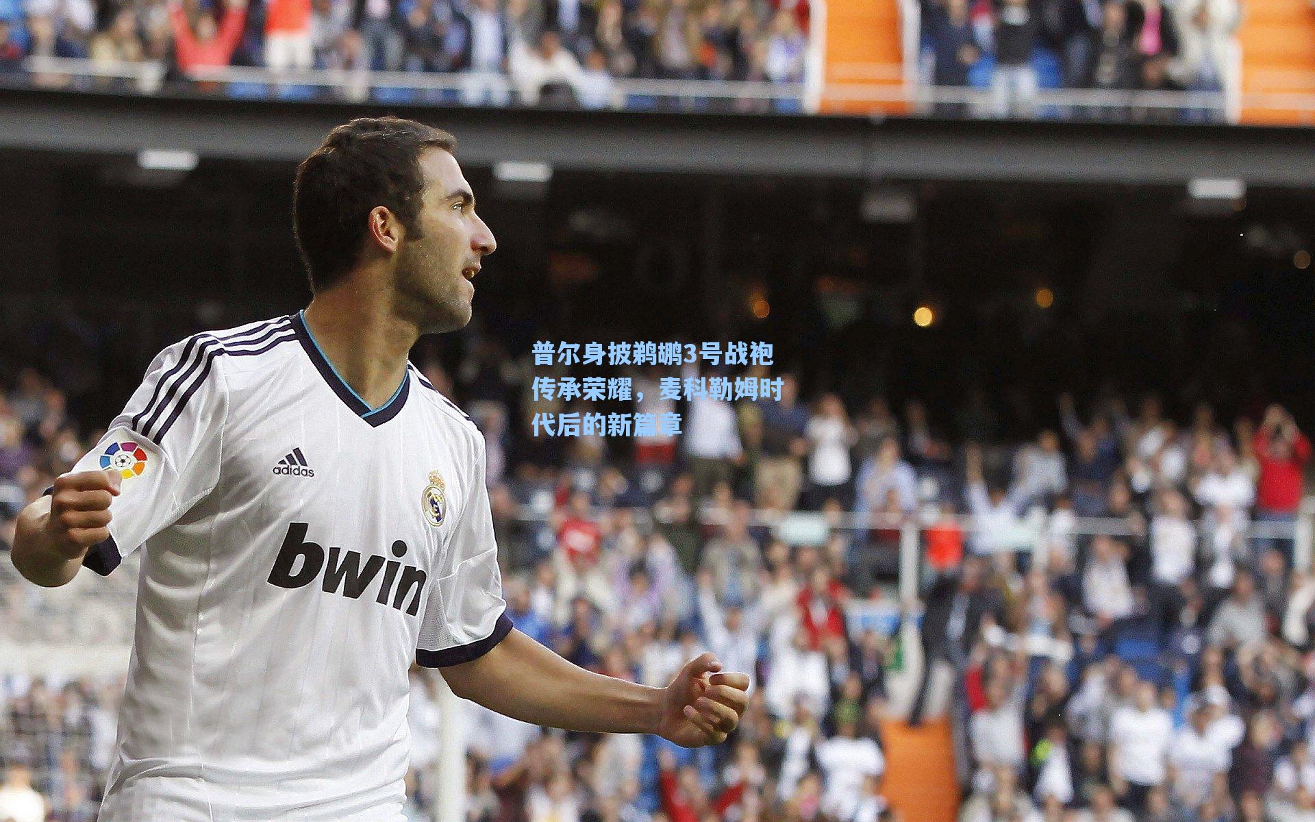 普尔身披鹈鹕3号战袍传承荣耀,麦科勒姆时代后的新篇章