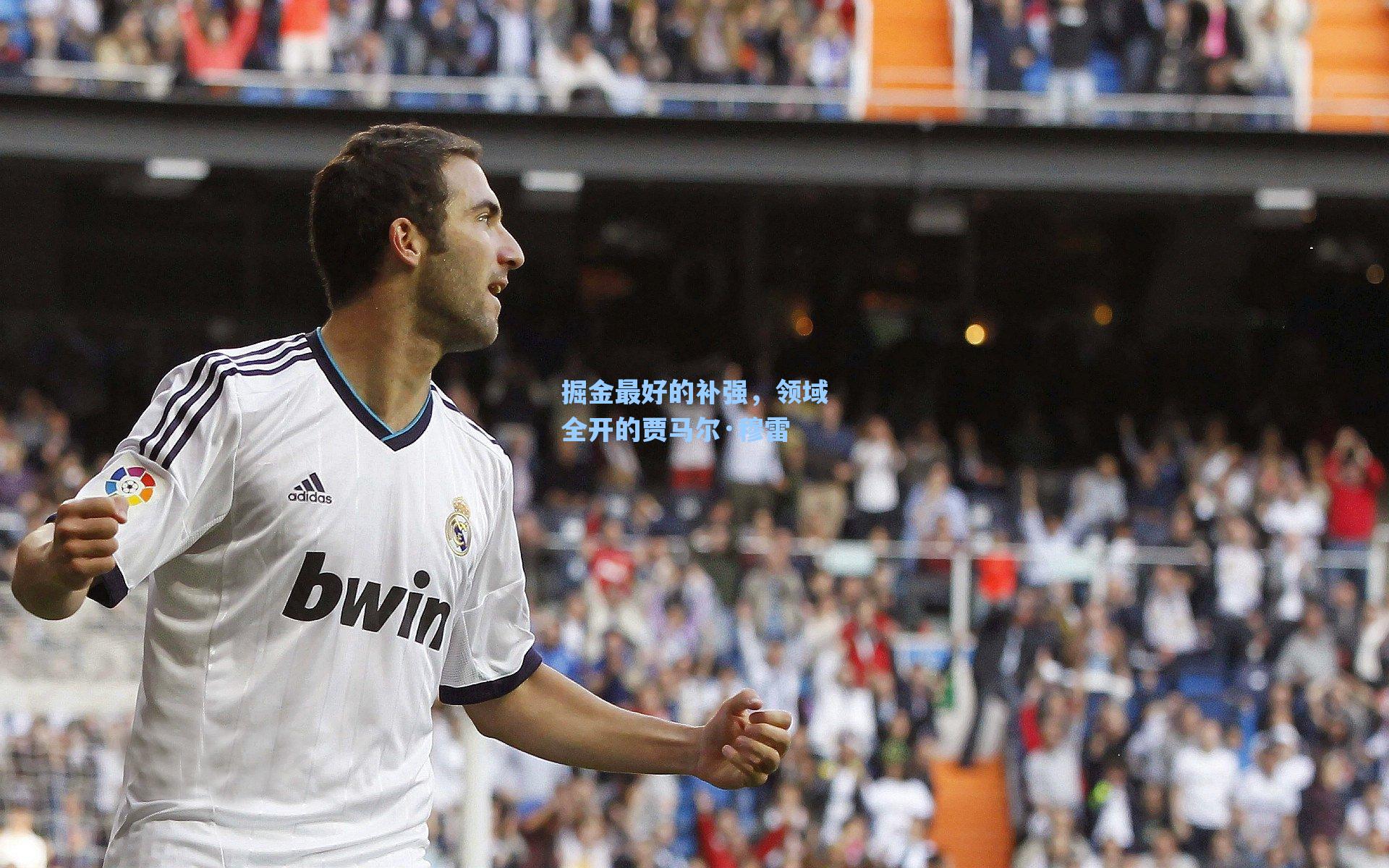 掘金最好的补强,领域全开的贾马尔·穆雷